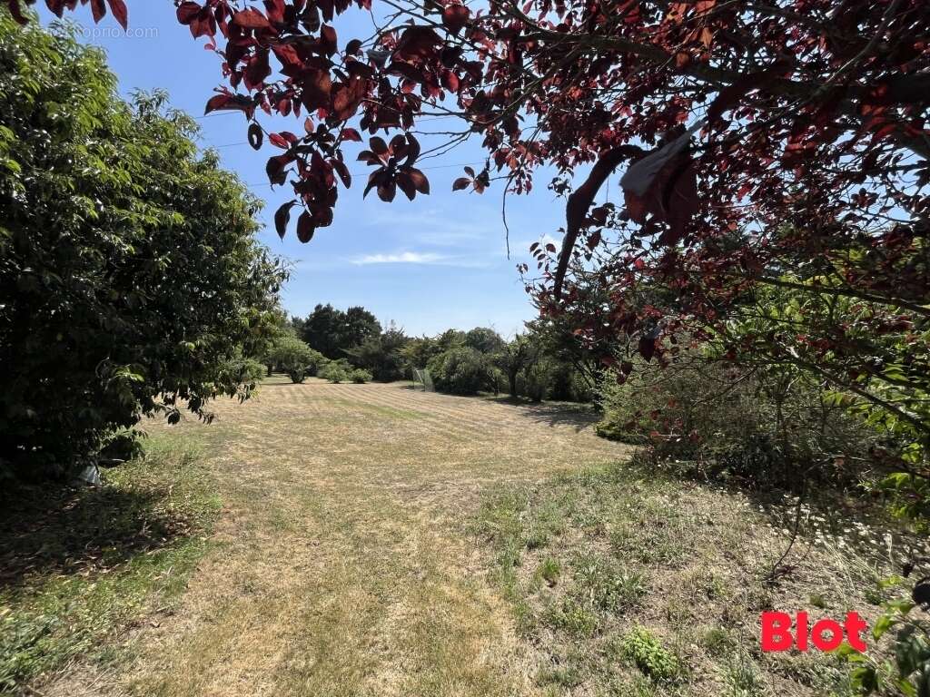 Maison à SION-LES-MINES