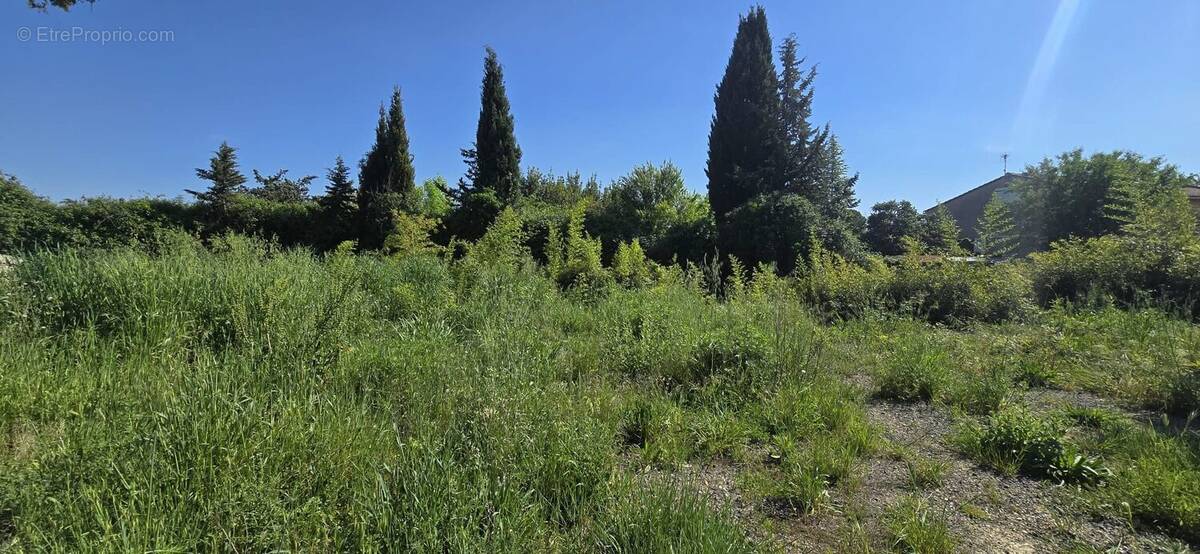 Terrain à SAINT-CHAPTES
