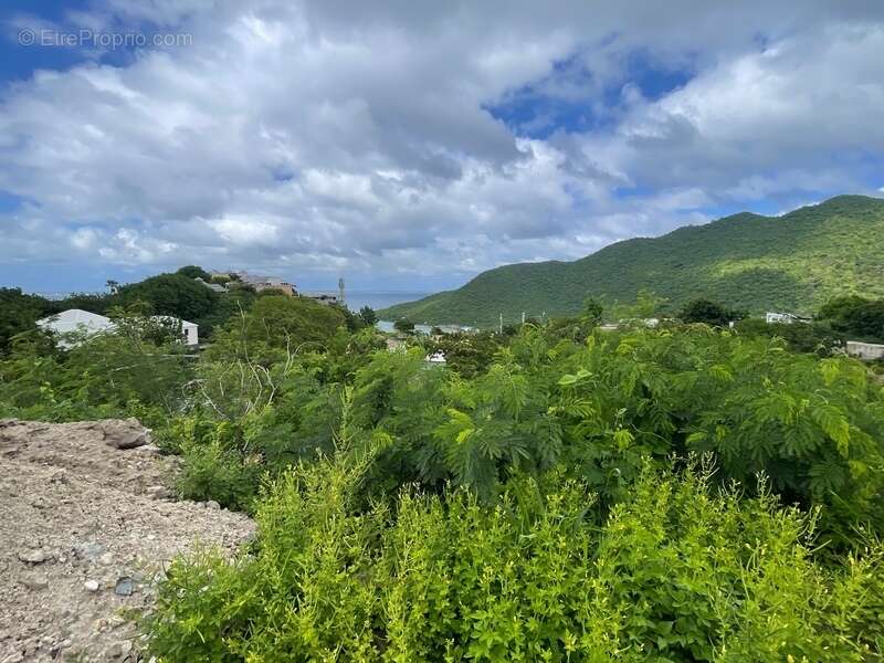 Terrain à SAINT-MARTIN