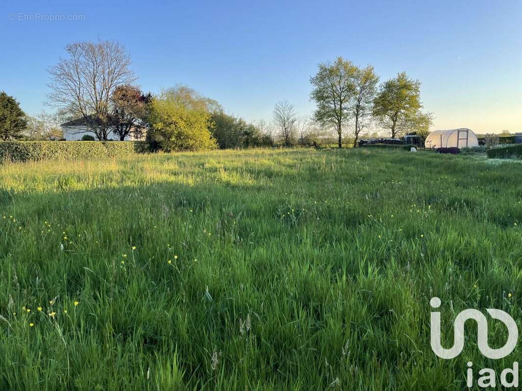 Photo 2 - Terrain à CERNUSSON