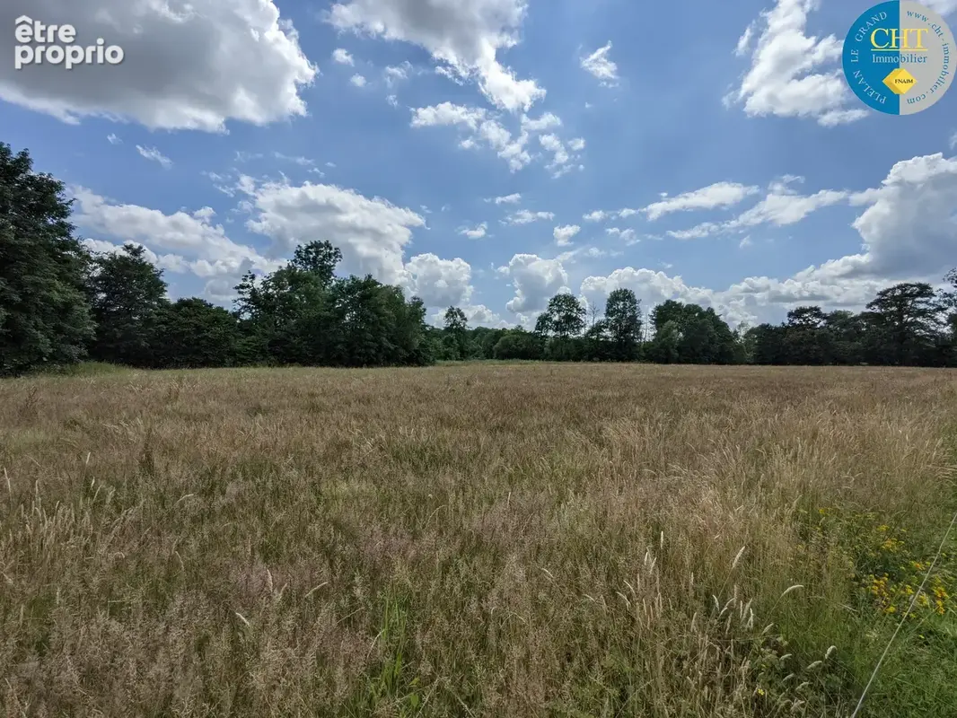 À Plélan-Le-Grand (35), Herbage de 13 000m2 et Parcelle de bois de 2 150m2 - photo 2
