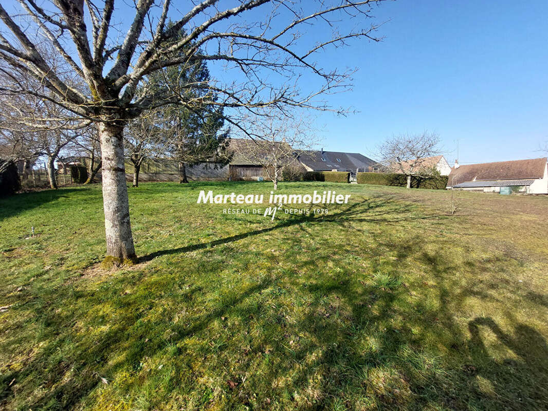 Terrain à PARIGNE-L&#039;EVEQUE