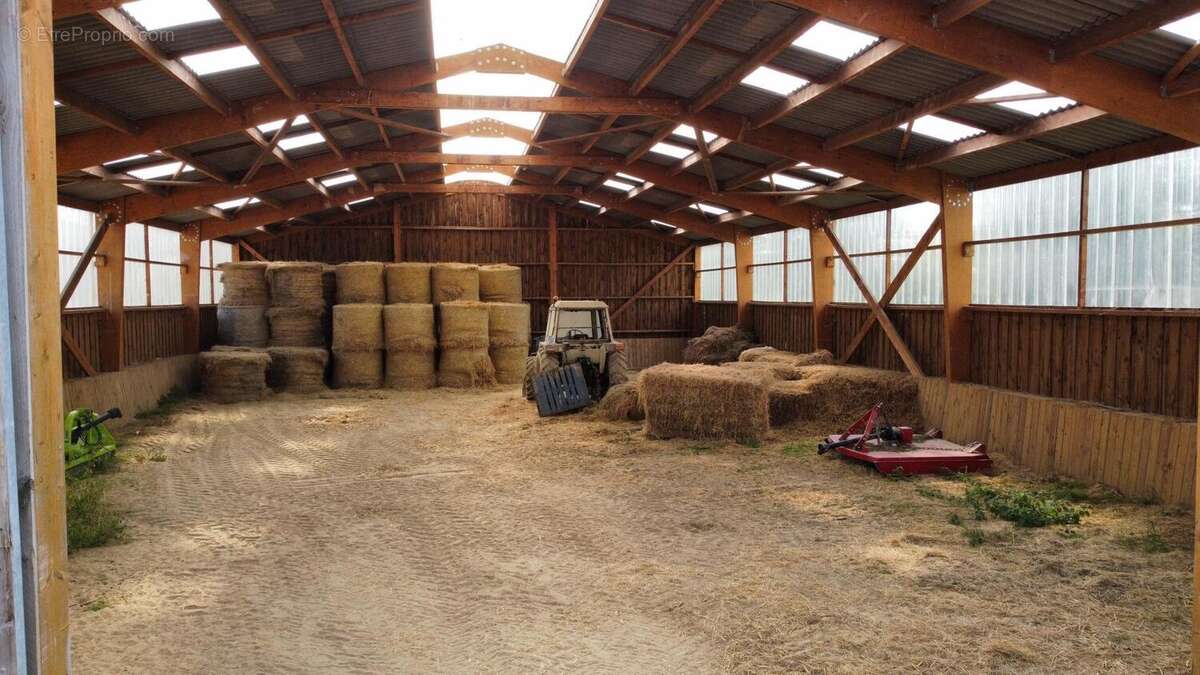 Photo 9 - Maison à LA CHAPELLE-GAUTHIER