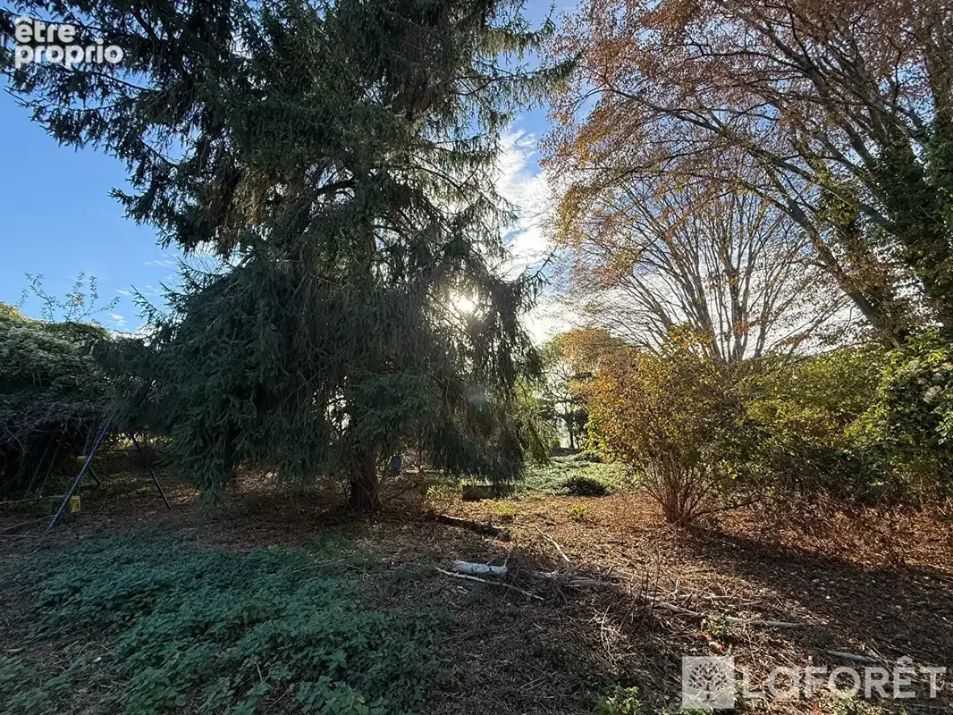 Maison, Charleville, jardin - photo 3