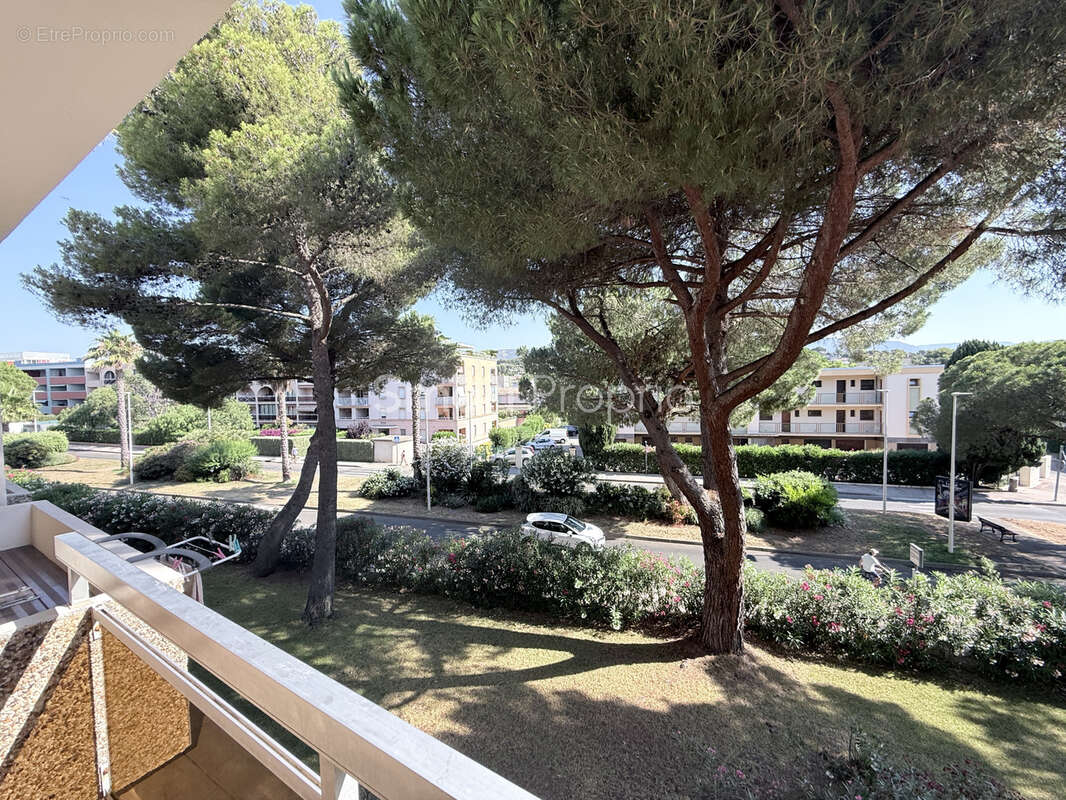 Appartement à BORMES-LES-MIMOSAS