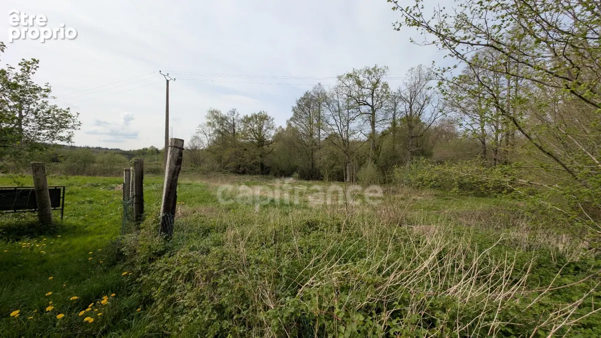 Maison en pierre 120 m² - 4 chambres - Terrain 4 180 m² - Proche Argentan et Sées LE CERCUEIL (61) ORNE - NORMANDIE - photo 5