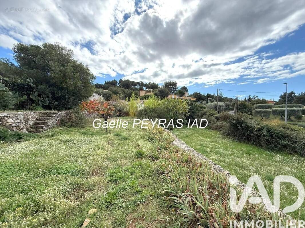 Photo 1 - Terrain à OLLIOULES