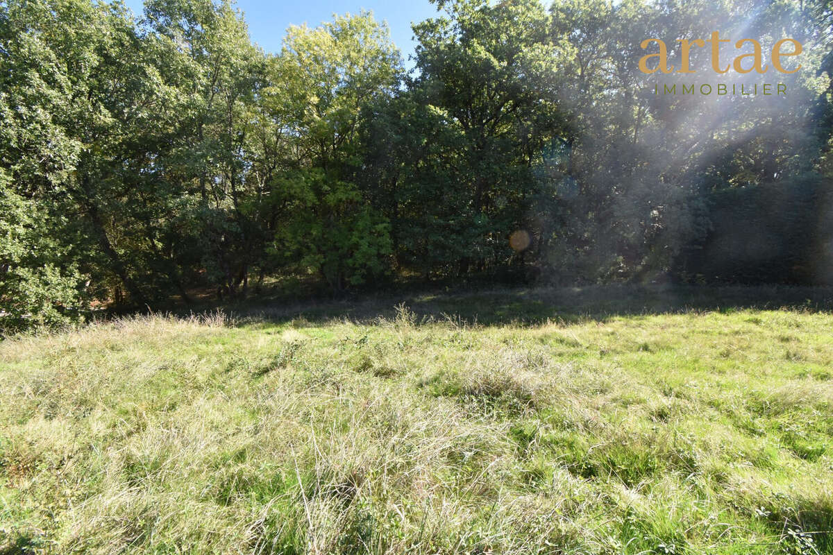 Terrain à SAINT-LYS