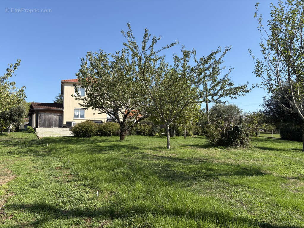 Maison à JUILLAC