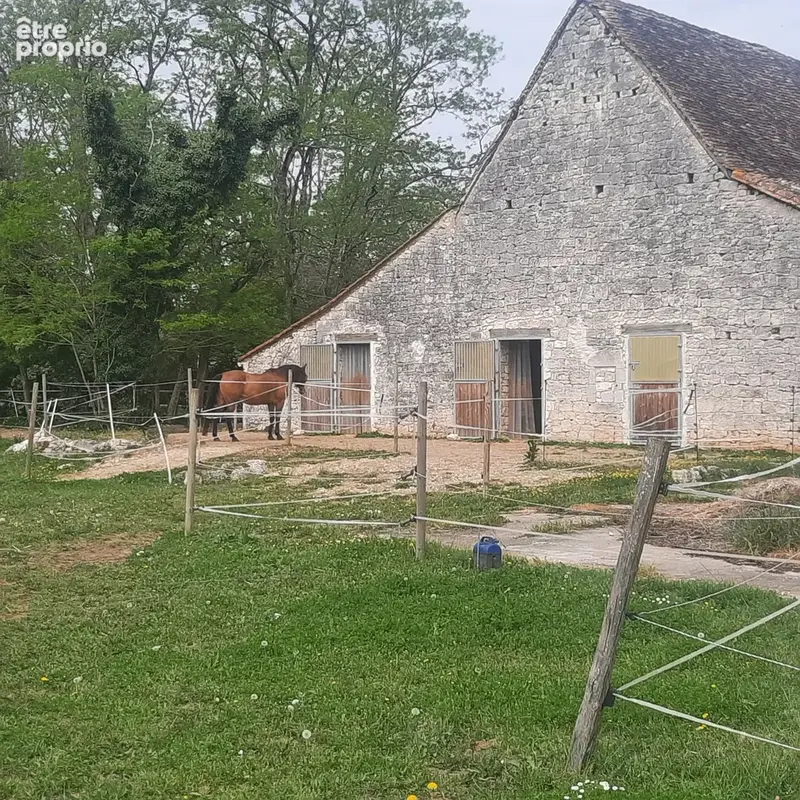 Propriété de caractère en pierres – Domaine équestre sur près de 6 hectares - photo 38