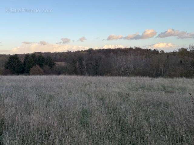 Terrain à SAINT-GERMAIN-D&#039;AUNAY