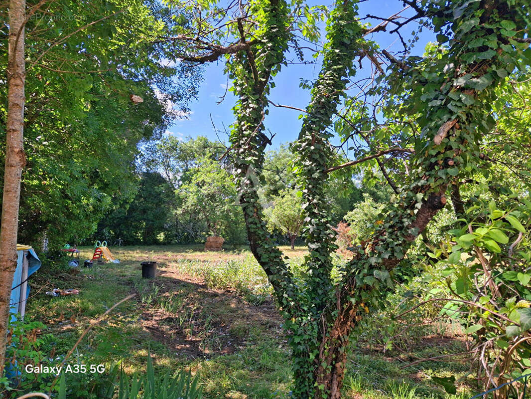 Maison L Isle Jourdain sur presque 3590 m² de terrain - photo 14