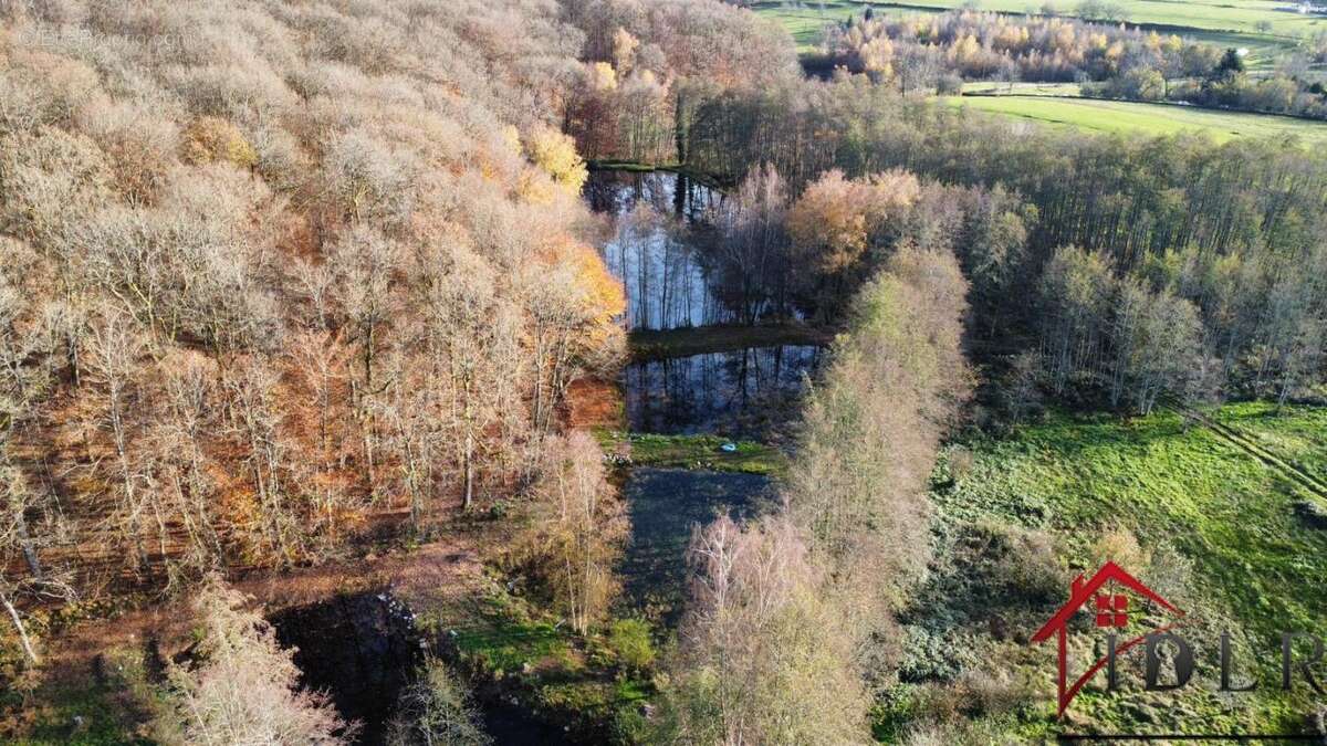 Terrain à BELMONT