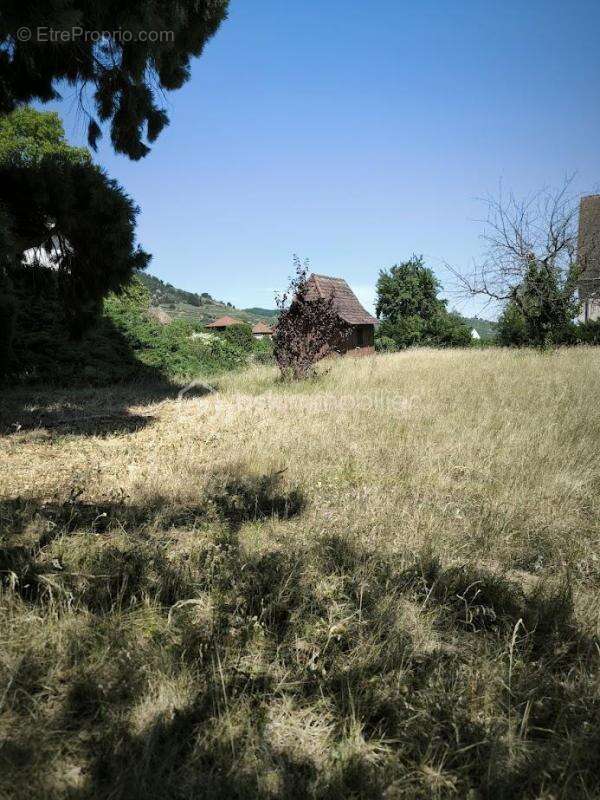 Terrain à KAYSERSBERG