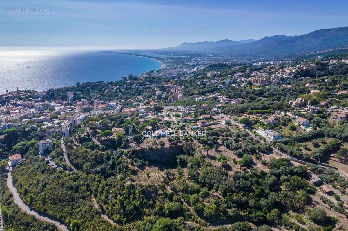 Terrain à SAN-MARTINO-DI-LOTA