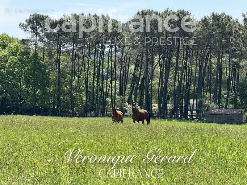 Maison à SALLEBOEUF