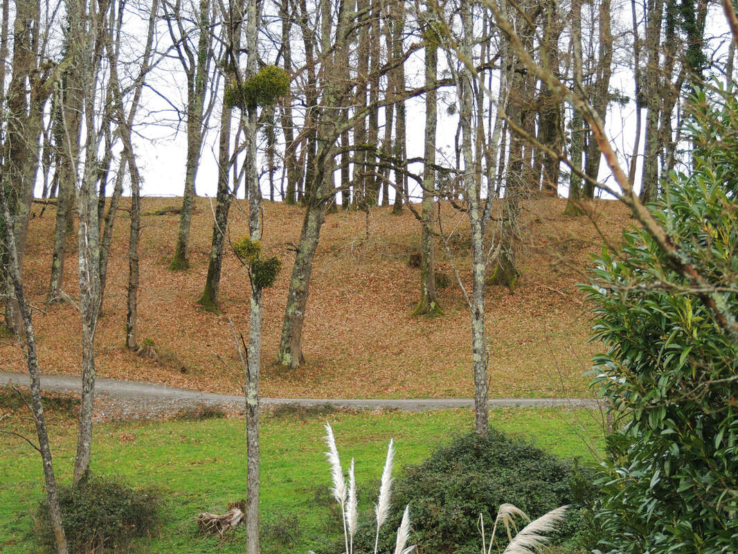 Maison à SALIES-DE-BEARN