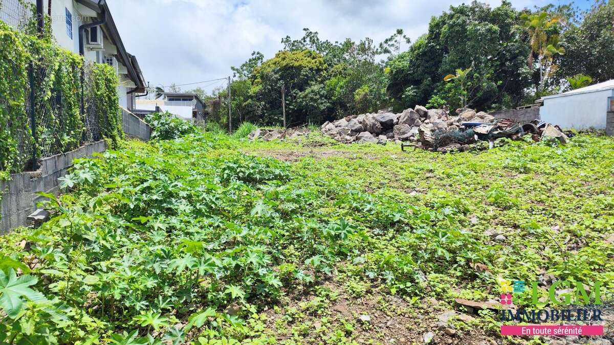 Terrain à LE TAMPON