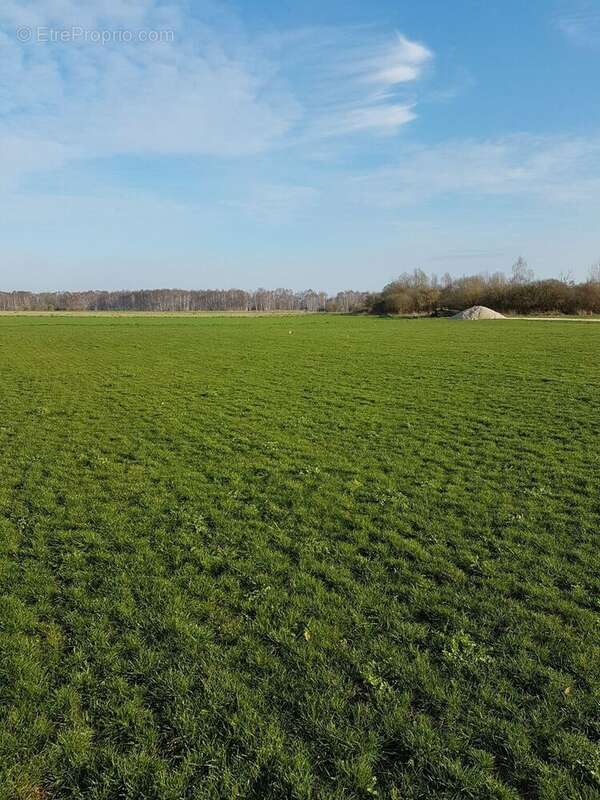Terrain à OYES