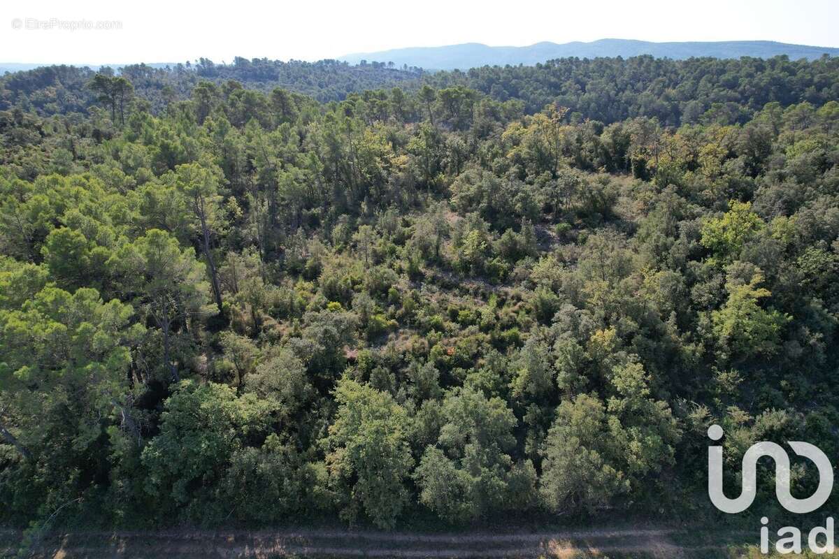 Photo 2 - Terrain à LORGUES