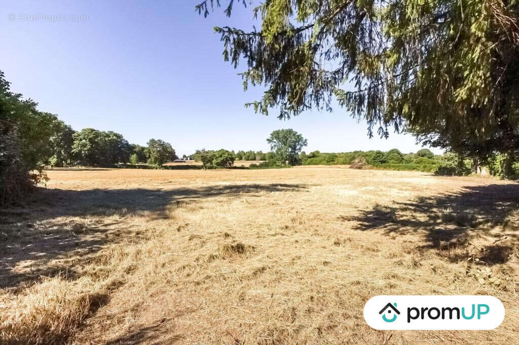 Terrain à SAINT-MAURICE-LA-SOUTERRAINE
