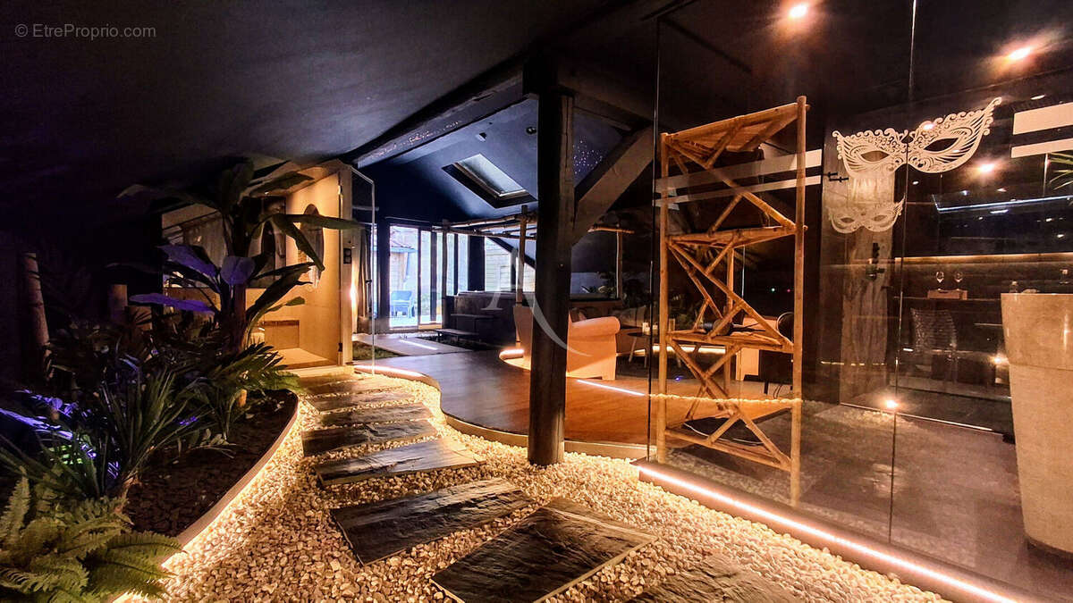 Loft Epinal  + activité rémunératrice. - photo 2