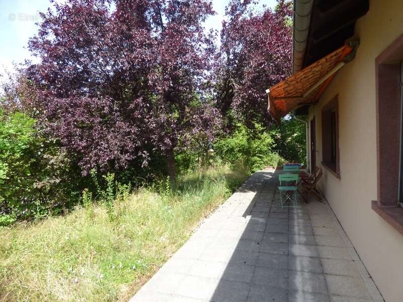 Maison à vendre 4 pièces GOTTENHOUSE (67) - photo 5