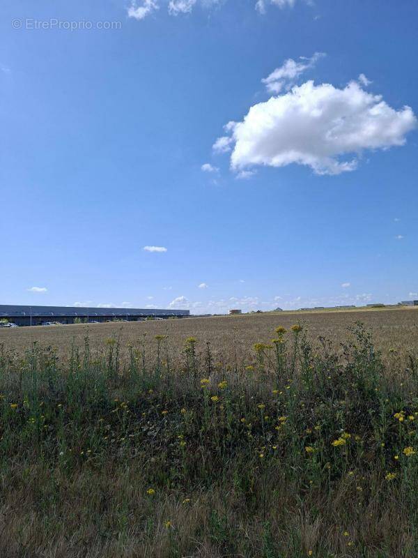 Terrain à COLOMBELLES