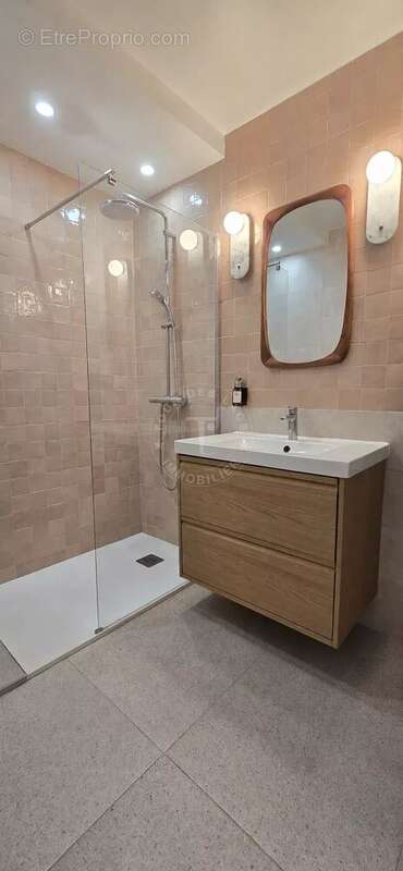 A vendre appartement T3 entièrement rénové secteur Albigny - photo 8