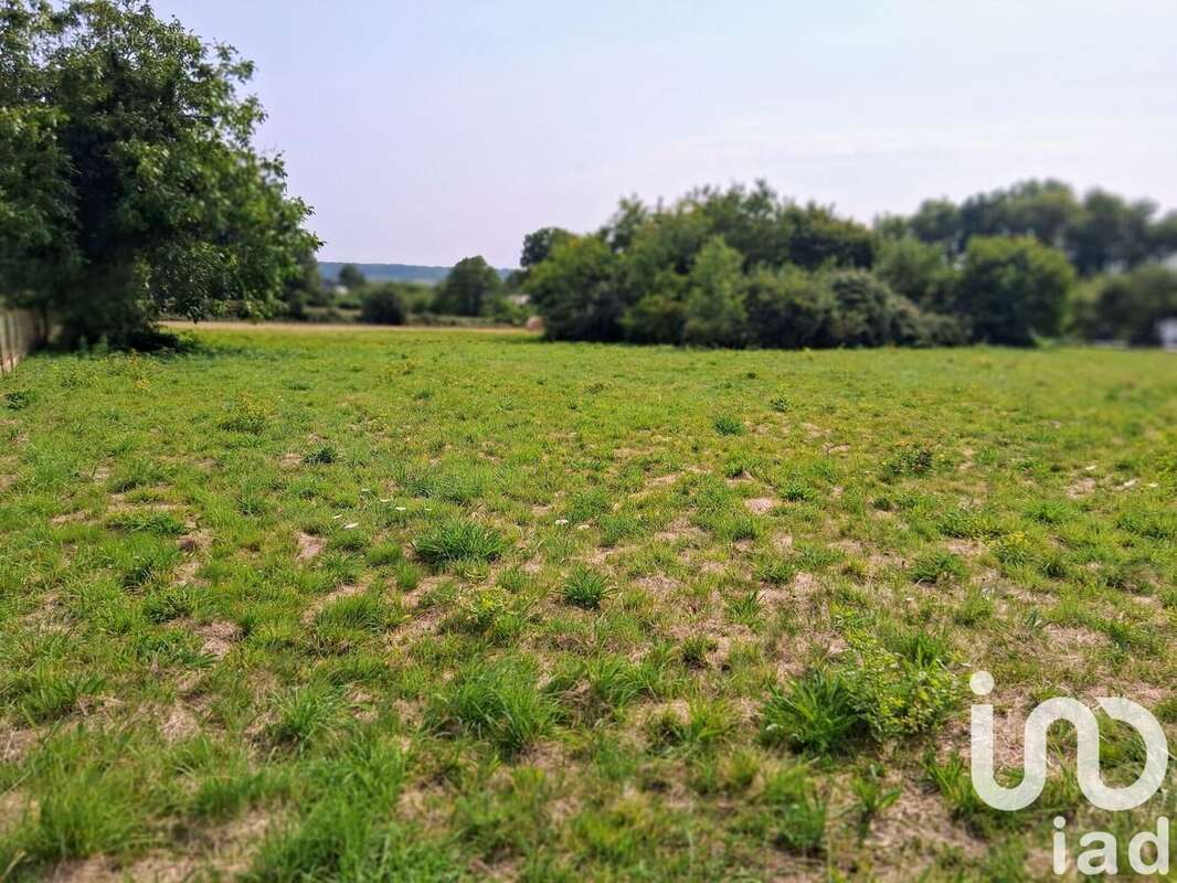 Photo 2 - Terrain à SAINT-VINCENT-SUR-OUST