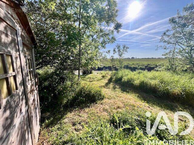 Photo 1 - Maison à LA BARRE-DE-MONTS