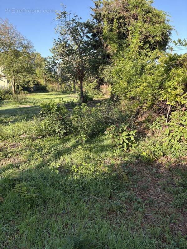 Terrain à ROMANS-SUR-ISERE