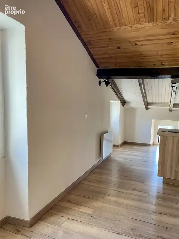 Appartement T2 entièrement rénové - photo 3