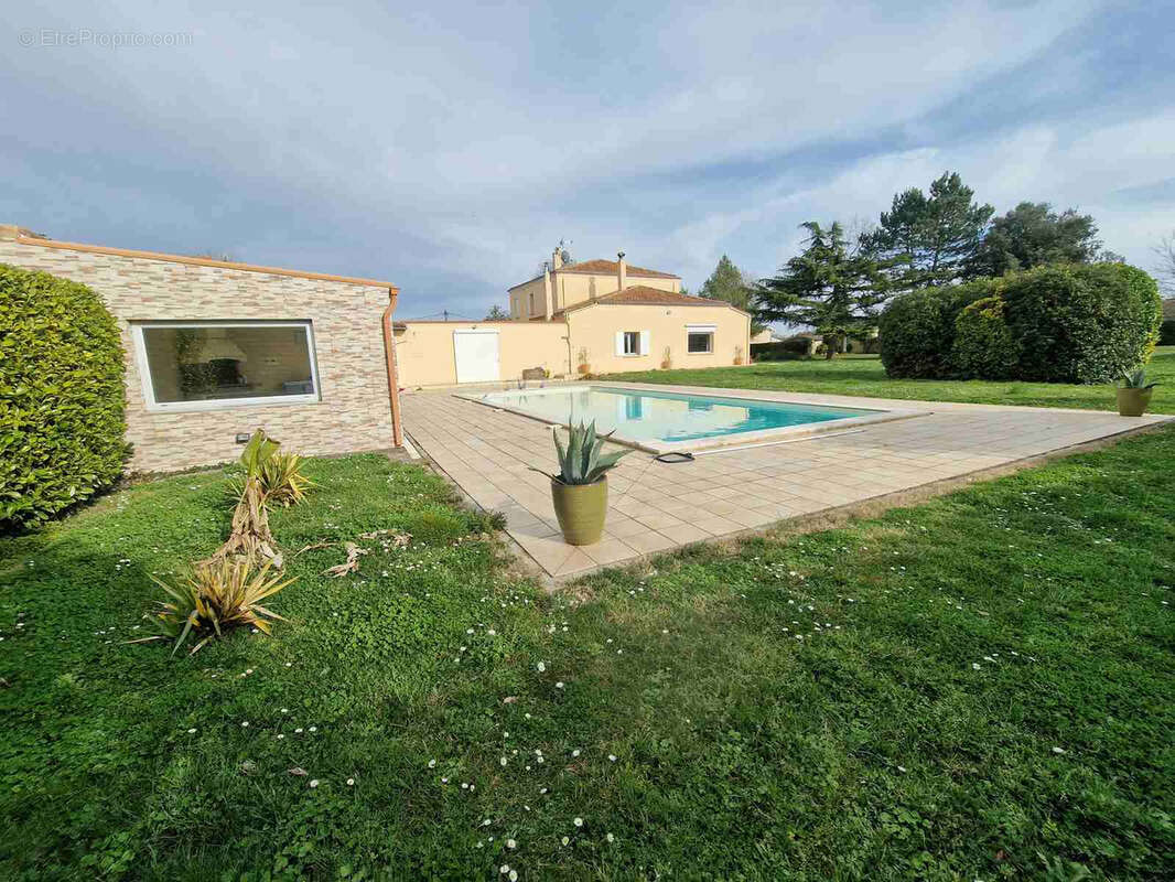 Maison d'architecte sur grand terrain avec piscine - photo 4