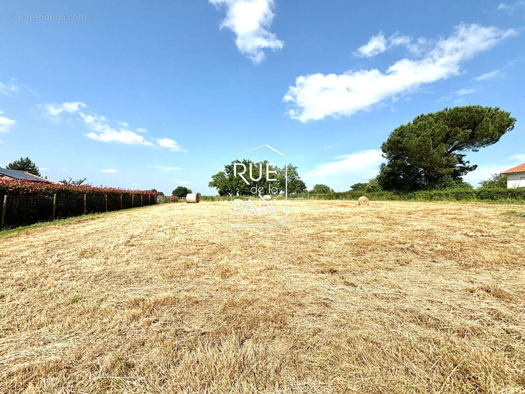 Terrain à LE TALLUD