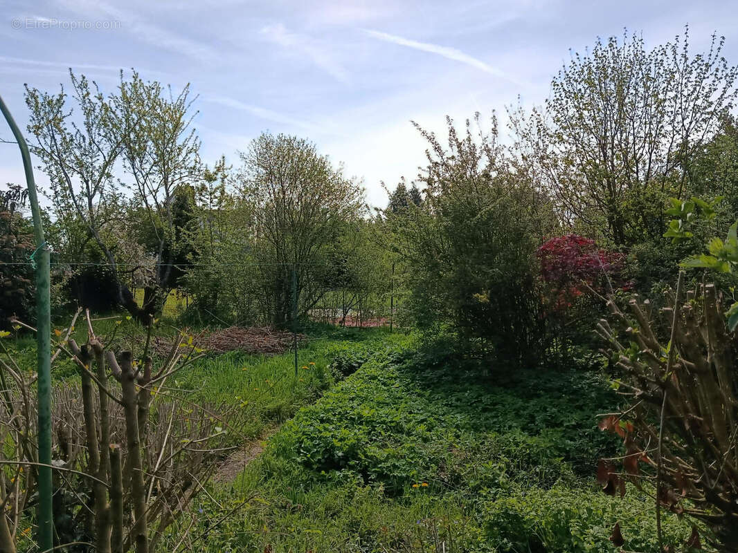 Maison à GUEBLANGE-LES-DIEUZE