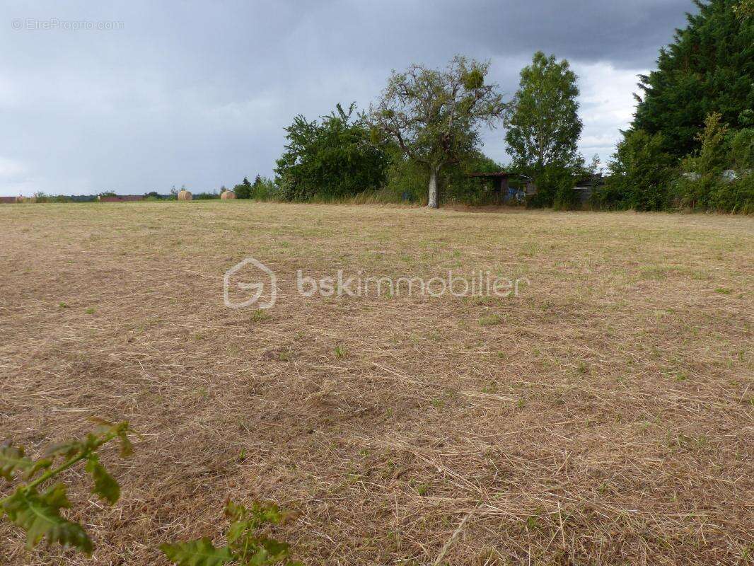 Terrain d'environ 700 m² - photo 3