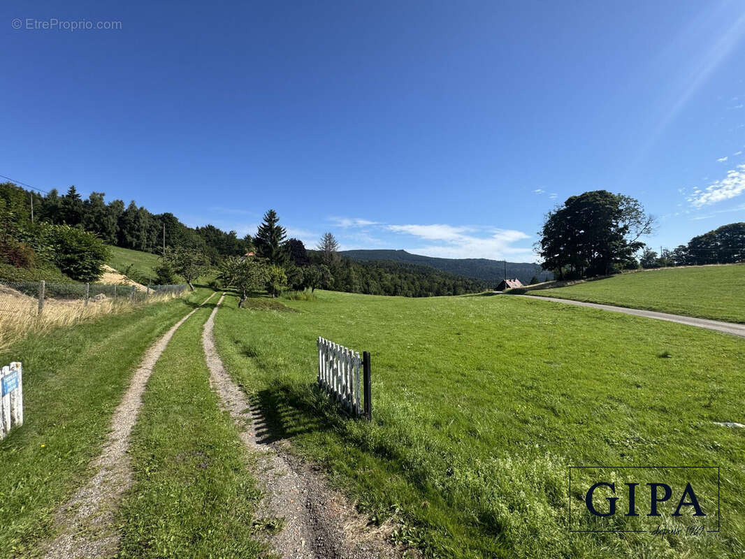 Terrain à LE HOHWALD