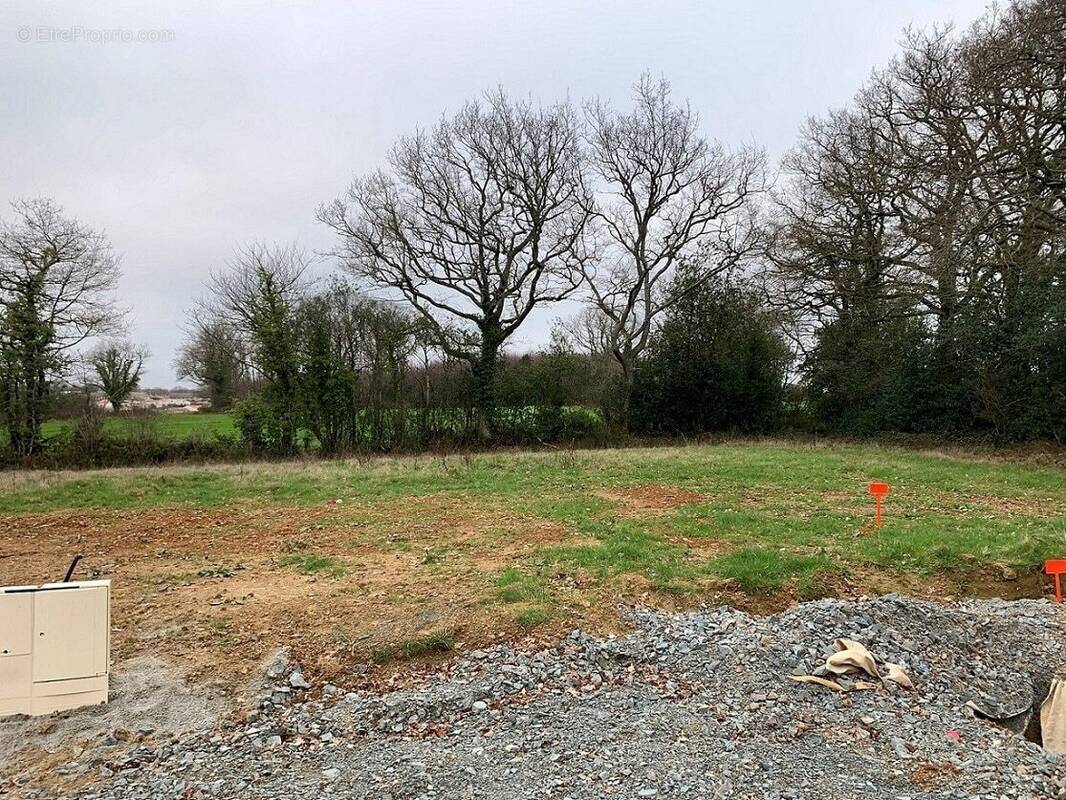 Terrain à NANTES