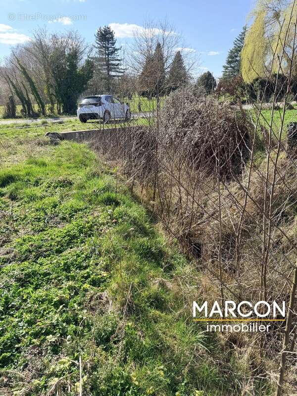 Terrain à AZAT-CHATENET
