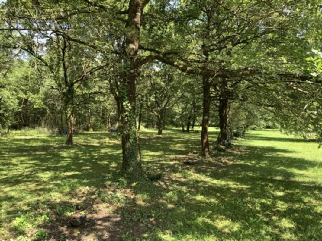 Maison à SAINT-GAULTIER