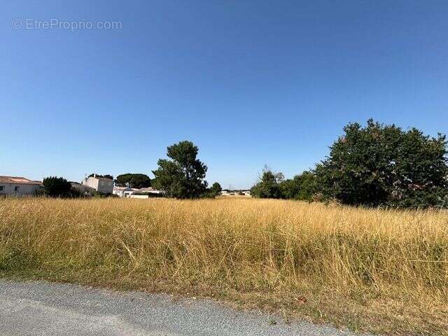 Terrain à bâtir de 424 m² à SAINT-AUGUSTIN (17) - photo 3