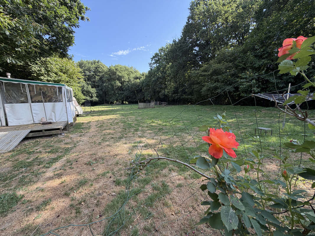 À VENDRE   Maison rénovée avec terrain de 3 327 m2 - photo 16