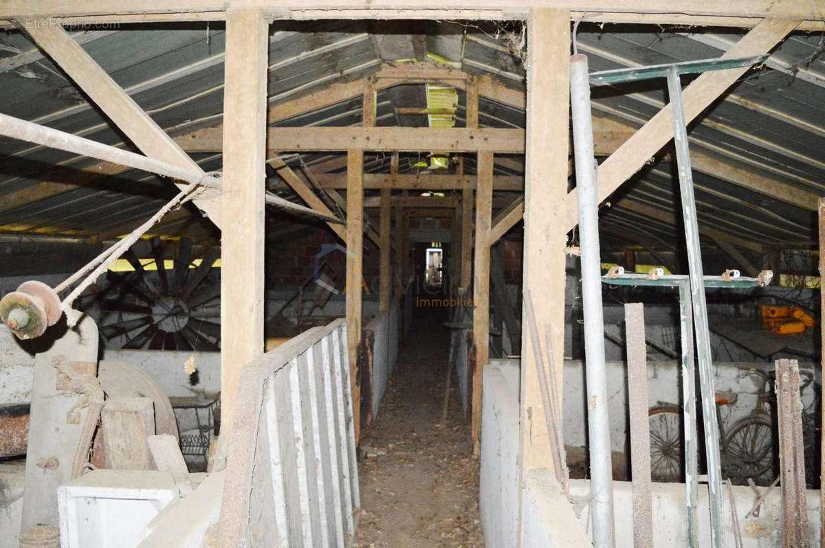 Commerce à CHAMPGENETEUX