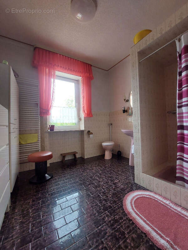 Maison à PETITE-ROSSELLE