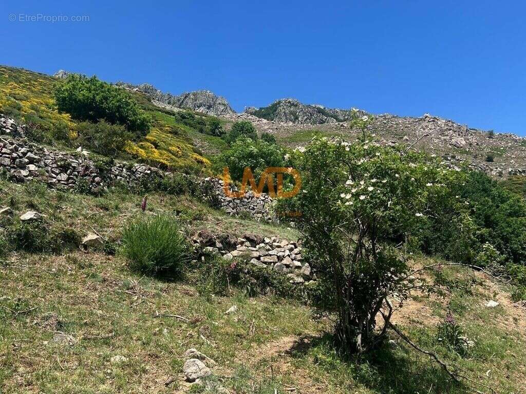 Propriété 54 hectares, rare en Ardèche - photo 18