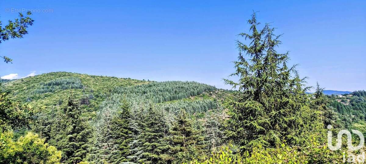 Photo 6 - Terrain à AULAS