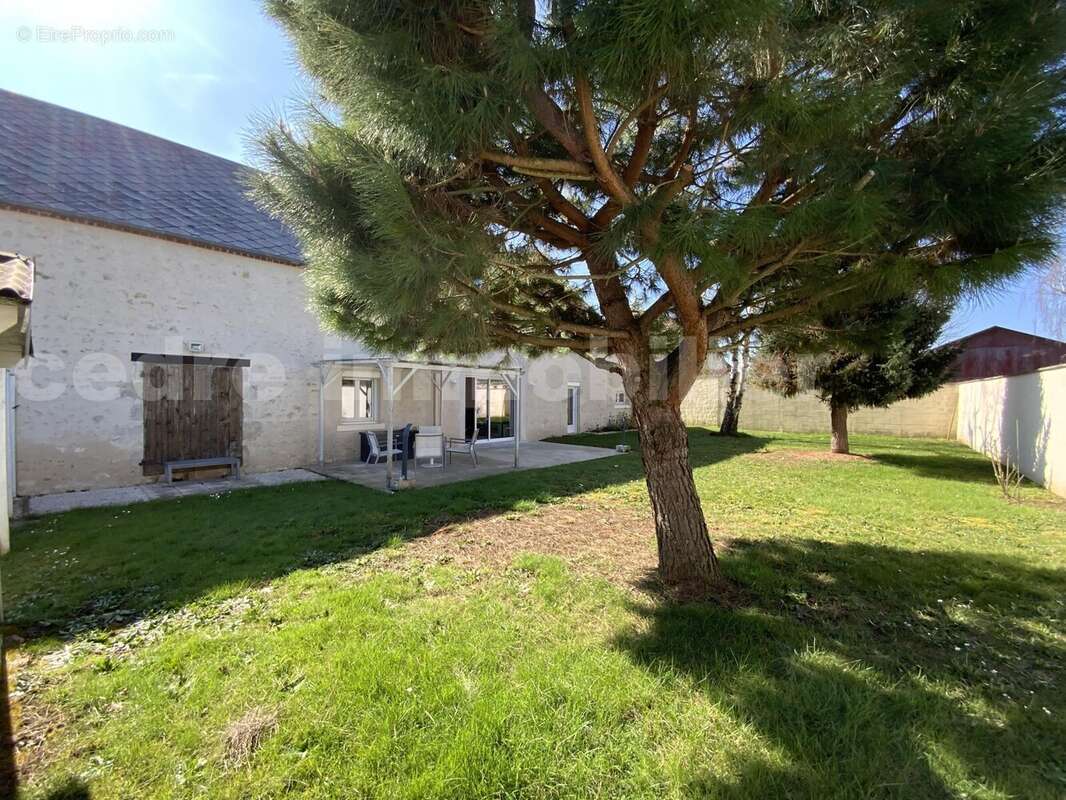 IMG_3363 - Maison à MAREAU-AUX-PRES