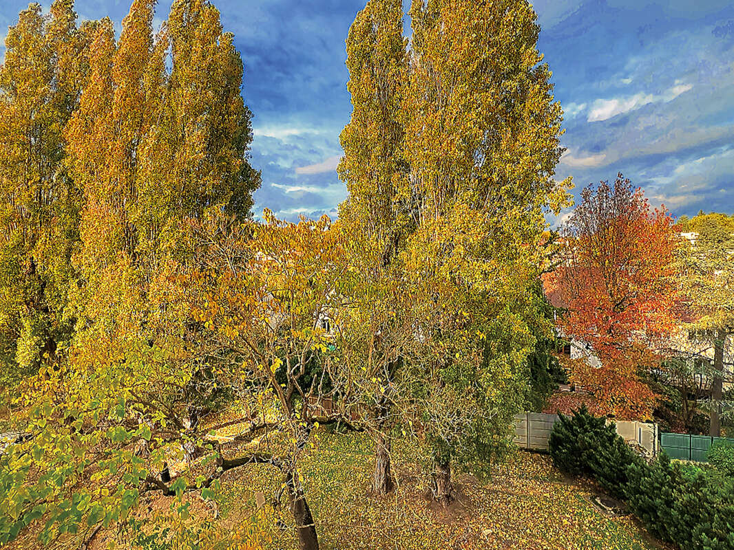 Appartement à LE PLESSIS-ROBINSON