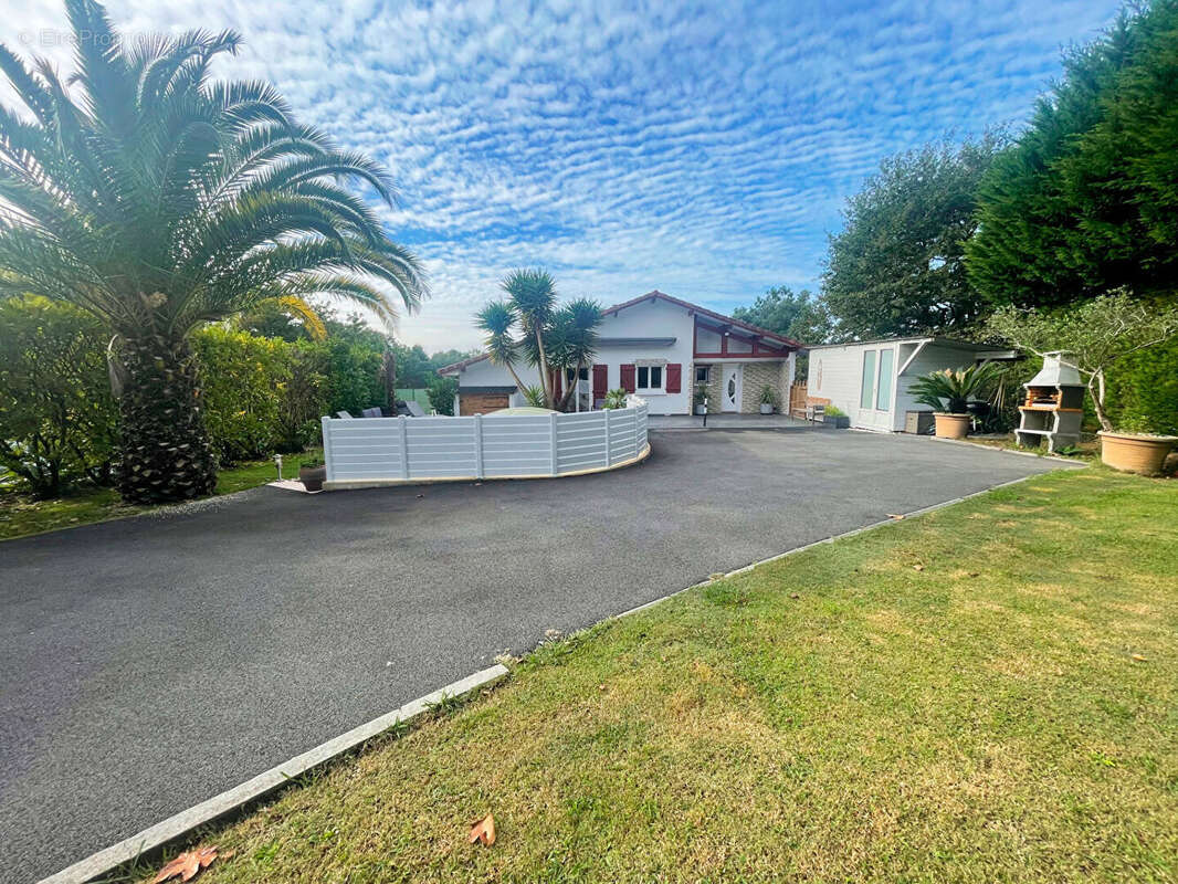 Maison + 2 appartements - Saint Martin De Seignanx - photo 3
